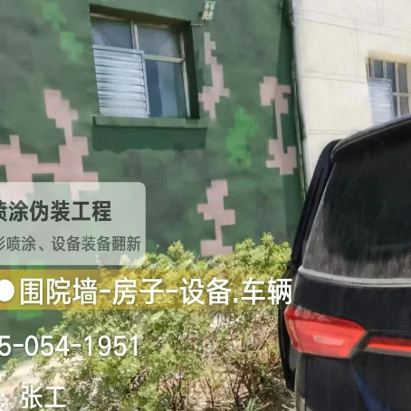 闵行数码迷彩漆施工